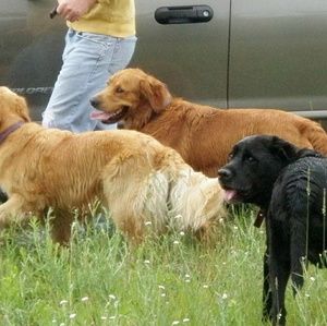 Meet your Posher, Gina